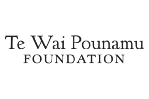 Te Wai Pounamu Foundation