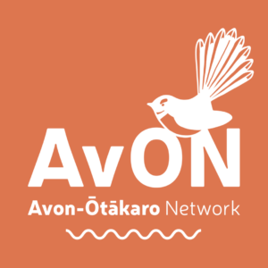 Avon Otakaro