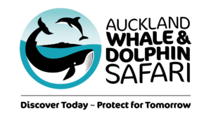 Auckland Whale And Dolphin Safari