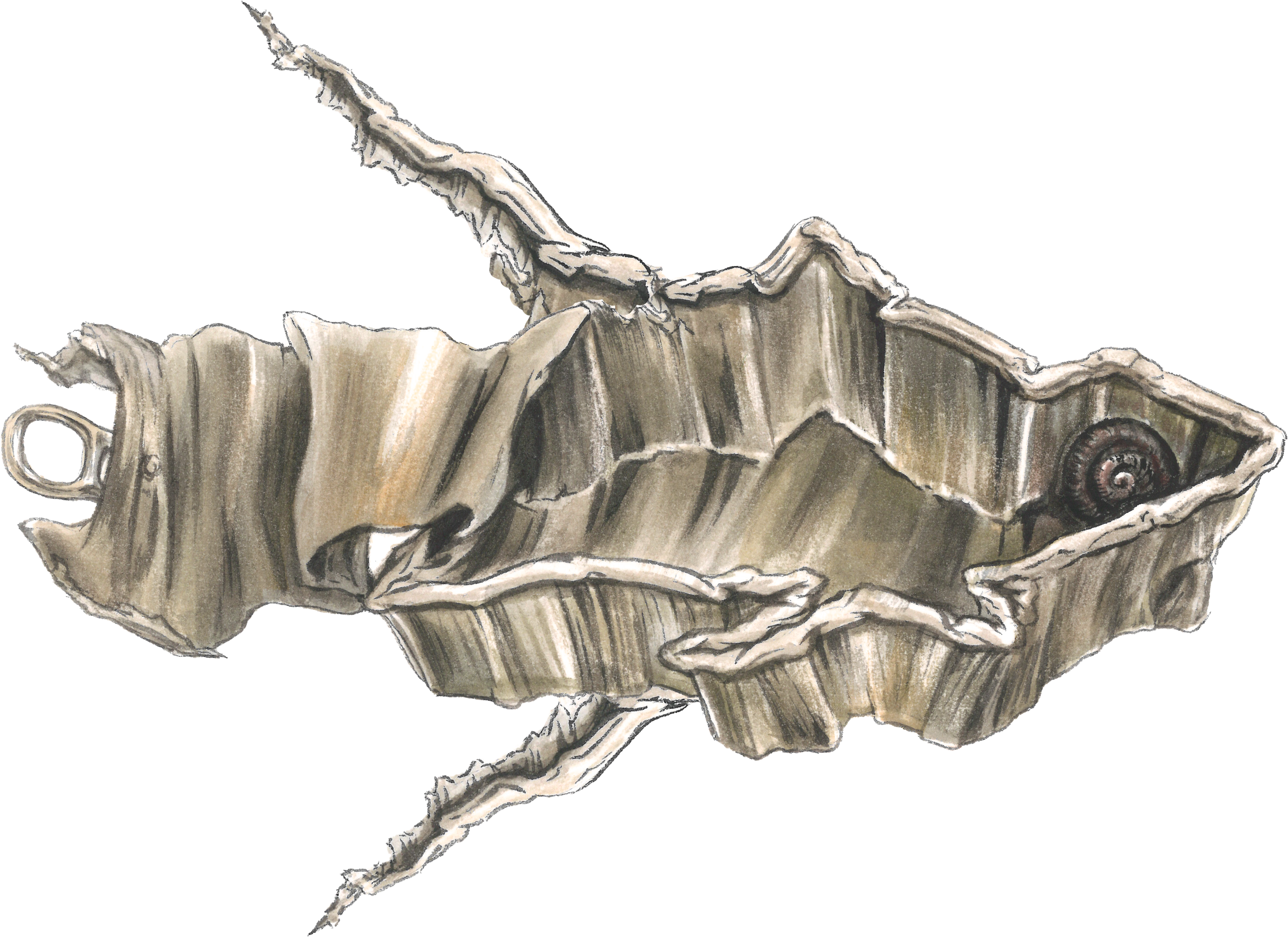 Trash Species_Yellowtin Tuna